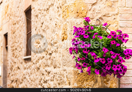 To use this stock image in your creative project, please select the size you need over to the right and click the "Add to Cart" button.
Your downloaded image will come with the Cutcaster watermark removed so don’t worry about the watermark you see on this page. Tuscan flowers stock photo, Pienza, Tuscany region, Italy. Old wall with flowers by Paolo Gallo