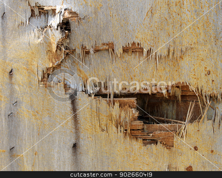To use this stock image in your creative project, please select the size you need over to the right and click the "Add to Cart" button.
Your downloaded image will come with the Cutcaster watermark removed so don’t worry about the watermark you see on this page. Broken wooden background stock photo, Abstract background of broken wood on old building. by Martin Crowdy
