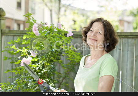 To use this stock image in your creative project, please select the size you need over to the right and click the "Add to Cart" button.
Your downloaded image will come with the Cutcaster watermark removed so don’t worry about the watermark you see on this page. Senior woman pruning rose bush stock photo, Happy senior woman enjoying gardening and pruning rose bush with clippers by Elena Elisseeva