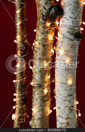 To use this stock image in your creative project, please select the size you need over to the right and click the "Add to Cart" button.
Your downloaded image will come with the Cutcaster watermark removed so don’t worry about the watermark you see on this page. Christmas lights on birch branches stock photo, Birch trees wrapped in Christmas lights on red background by Elena Elisseeva