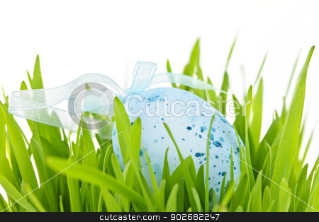 To use this stock image in your creative project, please select the size you need over to the right and click the "Add to Cart" button.
Your downloaded image will come with the Cutcaster watermark removed so don’t worry about the watermark you see on this page. Easter egg in grass stock photo, Blue speckled easter egg with ribbon in green grass by Elena Elisseeva