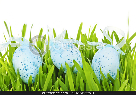 To use this stock image in your creative project, please select the size you need over to the right and click the "Add to Cart" button.
Your downloaded image will come with the Cutcaster watermark removed so don’t worry about the watermark you see on this page. Easter eggs in green grass stock photo, Three blue speckled easter eggs with ribbons in green grass by Elena Elisseeva
