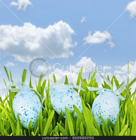 To use this stock image in your creative project, please select the size you need over to the right and click the "Add to Cart" button.
Your downloaded image will come with the Cutcaster watermark removed so don’t worry about the watermark you see on this page. Easter eggs in green grass stock photo, Three blue speckled easter eggs with ribbons in green grass on sky background by Elena Elisseeva