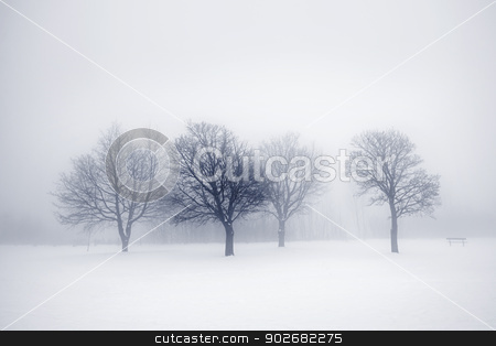 To use this stock image in your creative project, please select the size you need over to the right and click the "Add to Cart" button.
Your downloaded image will come with the Cutcaster watermark removed so don’t worry about the watermark you see on this page. Winter trees in fog stock photo, Winter scene of leafless trees in fog by Elena Elisseeva