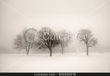 To use this stock image in your creative project, please select the size you need over to the right and click the "Add to Cart" button.
Your downloaded image will come with the Cutcaster watermark removed so don’t worry about the watermark you see on this page. Winter trees in fog stock photo, Foggy winter scene with leafless trees in sepia by Elena Elisseeva