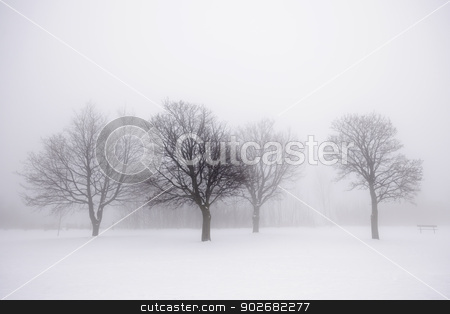 To use this stock image in your creative project, please select the size you need over to the right and click the "Add to Cart" button.
Your downloaded image will come with the Cutcaster watermark removed so don’t worry about the watermark you see on this page. Winter trees in fog stock photo, Foggy winter scene with leafless trees by Elena Elisseeva