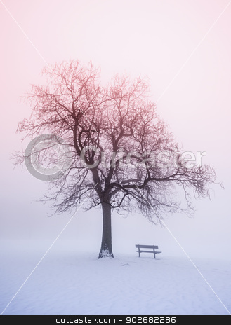 To use this stock image in your creative project, please select the size you need over to the right and click the "Add to Cart" button.
Your downloaded image will come with the Cutcaster watermark removed so don’t worry about the watermark you see on this page. Winter tree in fog at sunrise stock photo, Foggy winter sunrise scene with leafless tree and park bench by Elena Elisseeva