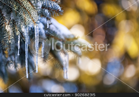 To use this stock image in your creative project, please select the size you need over to the right and click the "Add to Cart" button.
Your downloaded image will come with the Cutcaster watermark removed so don’t worry about the watermark you see on this page. Icicles on fir tree in winter stock photo, Christmas winter background with icicles hanging from spruce branches by Elena Elisseeva