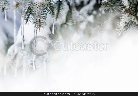 To use this stock image in your creative project, please select the size you need over to the right and click the "Add to Cart" button.
Your downloaded image will come with the Cutcaster watermark removed so don’t worry about the watermark you see on this page. Winter background with icicles on fir tree stock photo, Christmas winter background with icicles hanging from spruce branches by Elena Elisseeva