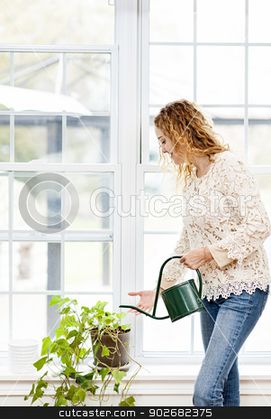 To use this stock image in your creative project, please select the size you need over to the right and click the "Add to Cart" button.
Your downloaded image will come with the Cutcaster watermark removed so don’t worry about the watermark you see on this page. Smiling woman watering plant at home stock photo, Smiling woman watering green plant at home by window by Elena Elisseeva