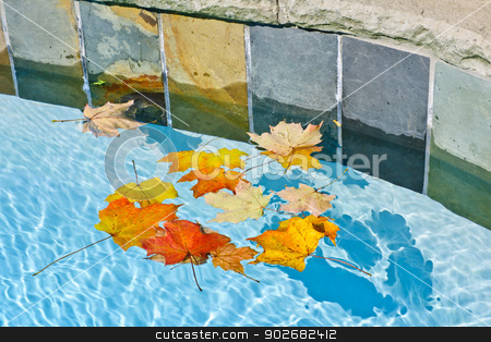 To use this stock image in your creative project, please select the size you need over to the right and click the "Add to Cart" button.
Your downloaded image will come with the Cutcaster watermark removed so don’t worry about the watermark you see on this page. Fall leaves floating in pool stock photo, Fall leaves floating in swimming pool water by Elena Elisseeva