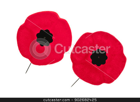 To use this stock image in your creative project, please select the size you need over to the right and click the "Add to Cart" button.
Your downloaded image will come with the Cutcaster watermark removed so don’t worry about the watermark you see on this page. Remembrance Day poppies stock photo, Two red poppy lapel pins for Remembrance Day by Elena Elisseeva