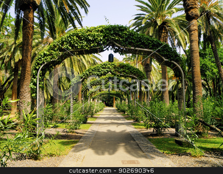 To use this stock image in your creative project, please select the size you need over to the right and click the "Add to Cart" button.
Your downloaded image will come with the Cutcaster watermark removed so don’t worry about the watermark you see on this page. Santa Cruz de Tenerife stock photo, Park in Santa Cruz - capital city of Tenerife, Canary Islands, Spain by Karol Kozlowski