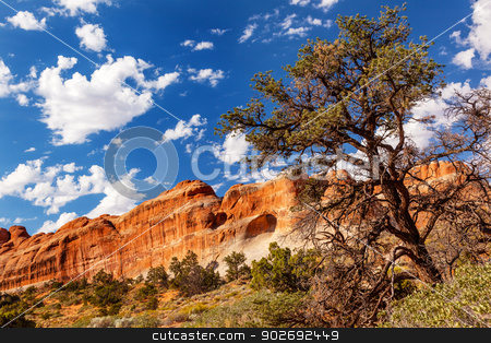 To use this stock image in your creative project, please select the size you need over to the right and click the "Add to Cart" button.
Your downloaded image will come with the Cutcaster watermark removed so don’t worry about the watermark you see on this page. Tunnel Arch Rock Canyon Pine Tree Devils Garden Arches National stock photo, Tunnel Arch Rock Canyon Pine Tree Devils Garden Arches National Park Moab Utah USA Southwest. by William Perry