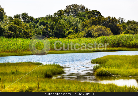 To use this stock image in your creative project, please select the size you need over to the right and click the "Add to Cart" button.
Your downloaded image will come with the Cutcaster watermark removed so don’t worry about the watermark you see on this page. Padnaram Green Salt Water Marsh Dartmouth Massachusetts stock photo, Padnaram Green Grass Salt Water Marsh Dartmouth Masschusetts
by William Perry