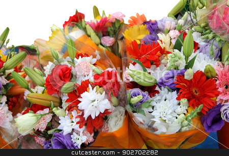 To use this stock image in your creative project, please select the size you need over to the right and click the "Add to Cart" button.
Your downloaded image will come with the Cutcaster watermark removed so don’t worry about the watermark you see on this page. Bouquets of colorful flowers stock photo, Bouquets of colorful flowers isolated on a white background. by Martin Crowdy
