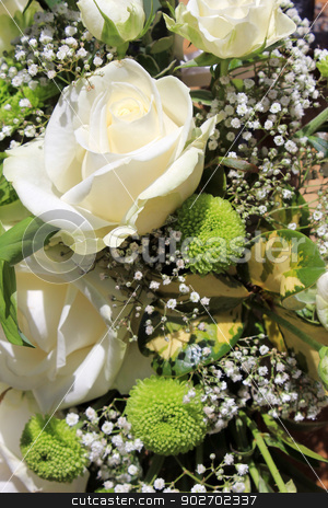 To use this stock image in your creative project, please select the size you need over to the right and click the "Add to Cart" button.
Your downloaded image will come with the Cutcaster watermark removed so don’t worry about the watermark you see on this page. Flower bouquet stock photo, Closeup of beautiful flower bouquet background. by Martin Crowdy