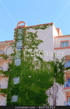 To use this stock image in your creative project, please select the size you need over to the right and click the "Add to Cart" button.
Your downloaded image will come with the Cutcaster watermark removed so don’t worry about the watermark you see on this page. Ivy covered hotel building stock photo, Side view of ivy covered hotel building, Majorca, Spain. by Martin Crowdy