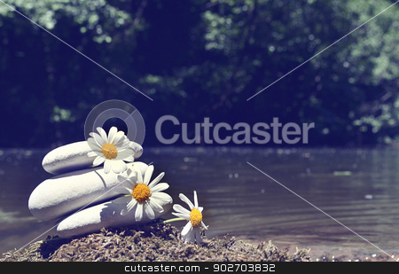 To use this stock image in your creative project, please select the size you need over to the right and click the "Add to Cart" button.
Your downloaded image will come with the Cutcaster watermark removed so don’t worry about the watermark you see on this page. mental health stock photo, daisy photo by abdullah üsame deniz