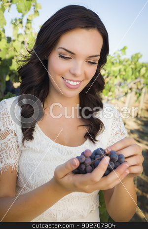 To use this stock image in your creative project, please select the size you need over to the right and click the "Add to Cart" button.
Your downloaded image will come with the Cutcaster watermark removed so don’t worry about the watermark you see on this page. Young Adult Woman Enjoying The Wine Grapes in The Vineyard stock photo, Young Adult Mixed Race Woman Enjoying The Wine Grapes in The Vineyard Outside. by Andy Dean
