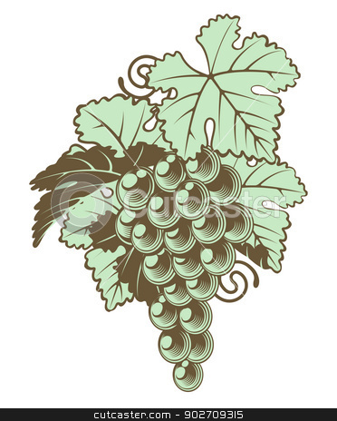 To use this stock image in your creative project, please select the size you need over to the right and click the "Add to Cart" button.
Your downloaded image will come with the Cutcaster watermark removed so don’t worry about the watermark you see on this page. Bunch of Grapes on Vine stock vector clipart, An illustration of a bunch of grapes on a vine in a retro vintage woodblock style by Christos Georghiou