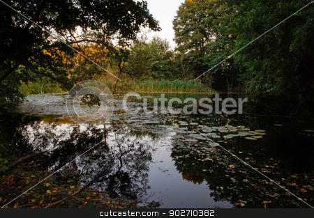 To use this stock image in your creative project, please select the size you need over to the right and click the "Add to Cart" button.
Your downloaded image will come with the Cutcaster watermark removed so don’t worry about the watermark you see on this page. lake with reeds and water lilies leaves stock photo, lake with reeds and water lilies on a background of leaves of trees and shrubs by Yuriy Mayboroda