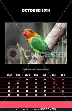To use this stock image in your creative project, please select the size you need over to the right and click the "Add to Cart" button.
Your downloaded image will come with the Cutcaster watermark removed so don’t worry about the watermark you see on this page. Bird calendar for 2014 - october stock photo, Colorful english calendar for october 2014 in black background, fischer's lovebird (agapornis fischeri) picture by Elenarts