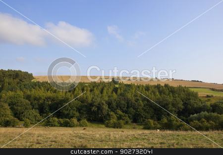 To use this stock image in your creative project, please select the size you need over to the right and click the "Add to Cart" button.
Your downloaded image will come with the Cutcaster watermark removed so don’t worry about the watermark you see on this page. yorkshire wolds woods stock photo, an agricultural landscape with wheat fields woods and pastures under a blue cloudy sky in the yorkshire wolds england by Mike Smith