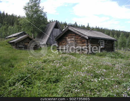 To use this stock image in your creative project, please select the size you need over to the right and click the "Add to Cart" button.
Your downloaded image will come with the Cutcaster watermark removed so don’t worry about the watermark you see on this page. Landscape stock photo, Mountain landscape and wooden cabin in Sweden by Sasas Design