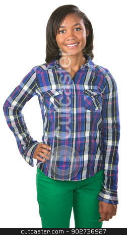 To use this stock image in your creative project, please select the size you need over to the right and click the "Add to Cart" button.
Your downloaded image will come with the Cutcaster watermark removed so don’t worry about the watermark you see on this page. Upbeat Teenager stock photo, Confident young teenager in flannel shirt over isolated background by Scott Griessel