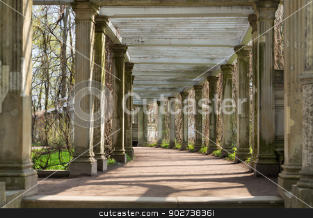 To use this stock image in your creative project, please select the size you need over to the right and click the "Add to Cart" button.
Your downloaded image will come with the Cutcaster watermark removed so don’t worry about the watermark you see on this page. antique columns corridor stock photo, Ancient columns corridor in spring grass. St. Petersburg, Russia, Catherine Park by Ruslan Kudrin