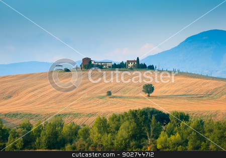 To use this stock image in your creative project, please select the size you need over to the right and click the "Add to Cart" button.
Your downloaded image will come with the Cutcaster watermark removed so don’t worry about the watermark you see on this page. Tuscany landscape in Val d'Orcia stock photo, Wonderful tuscany landscape early morning when the colors are so soft by Natalia Macheda