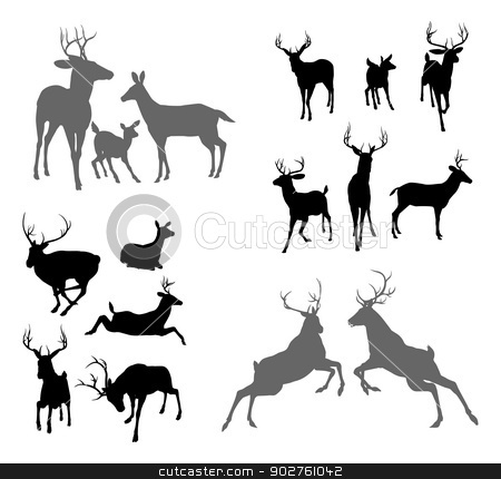 To use this stock image in your creative project, please select the size you need over to the right and click the "Add to Cart" button.
Your downloaded image will come with the Cutcaster watermark removed so don’t worry about the watermark you see on this page. Deer stag fawn and doe silhouettes stock vector clipart, A set of deer silhouettes including fawn, doe bucks and stags in various poses. Also a family group pose and two stags fighting by Christos Georghiou