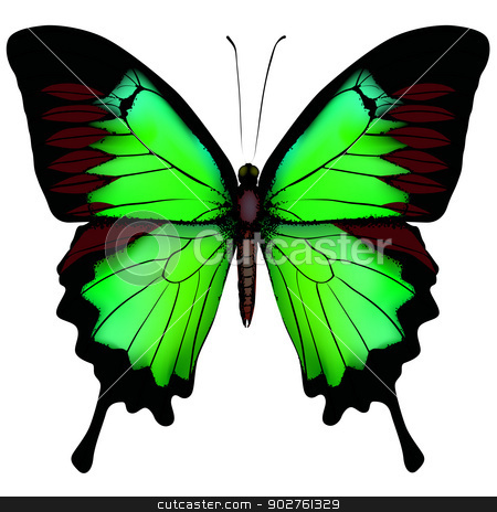 To use this stock image in your creative project, please select the size you need over to the right and click the "Add to Cart" button.
Your downloaded image will come with the Cutcaster watermark removed so don’t worry about the watermark you see on this page. Vector illustration of beautiful green butterfly isolated on wh stock vector clipart, Vector illustration of beautiful green butterfly isolated on white background by Essl