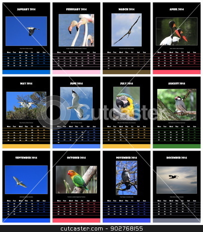 To use this stock image in your creative project, please select the size you need over to the right and click the "Add to Cart" button.
Your downloaded image will come with the Cutcaster watermark removed so don’t worry about the watermark you see on this page. Birds calendar for 2014 stock photo, Colorful birds english calendar for 2014 in black background by Elenarts