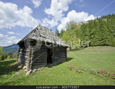 To use this stock image in your creative project, please select the size you need over to the right and click the "Add to Cart" button.
Your downloaded image will come with the Cutcaster watermark removed so don’t worry about the watermark you see on this page. wooden house stock photo, Romanian wooden house from an old village by Ioan Panaite