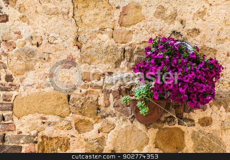 To use this stock image in your creative project, please select the size you need over to the right and click the "Add to Cart" button.
Your downloaded image will come with the Cutcaster watermark removed so don’t worry about the watermark you see on this page. Tuscan flowers stock photo, Pienza, Tuscany region, Italy. Old wall with flowers by Paolo Gallo