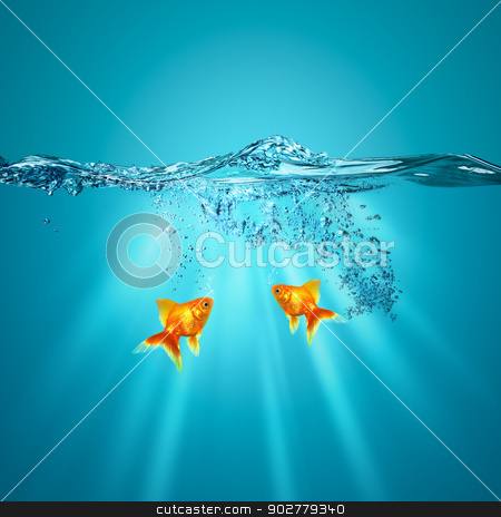 To use this stock image in your creative project, please select the size you need over to the right and click the "Add to Cart" button.
Your downloaded image will come with the Cutcaster watermark removed so don’t worry about the watermark you see on this page. Funny underwater backgrounds for your design stock photo, Funny underwater backgrounds for your design by tolokonov