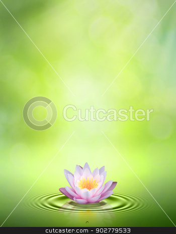 To use this stock image in your creative project, please select the size you need over to the right and click the "Add to Cart" button.
Your downloaded image will come with the Cutcaster watermark removed so don’t worry about the watermark you see on this page. Water lily. Abstract oriental backgrounds for your design stock photo, Water lily. Abstract oriental backgrounds for your design by tolokonov