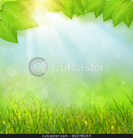 To use this stock image in your creative project, please select the size you need over to the right and click the "Add to Cart" button.
Your downloaded image will come with the Cutcaster watermark removed so don’t worry about the watermark you see on this page. Green natural backgrounds with selective focus stock photo, Green natural backgrounds with selective focus by tolokonov