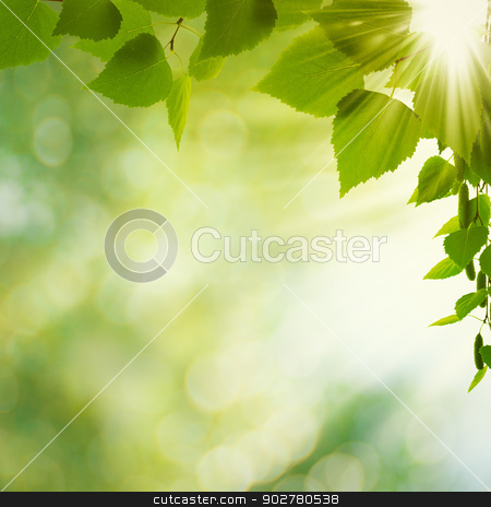 To use this stock image in your creative project, please select the size you need over to the right and click the "Add to Cart" button.
Your downloaded image will come with the Cutcaster watermark removed so don’t worry about the watermark you see on this page. Beauty Summer Day. Abstract environmental backgrounds for your d stock photo, Beauty Summer Day. Abstract environmental backgrounds for your design by tolokonov