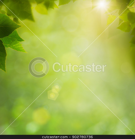 To use this stock image in your creative project, please select the size you need over to the right and click the "Add to Cart" button.
Your downloaded image will come with the Cutcaster watermark removed so don’t worry about the watermark you see on this page. Summer in the forest, abstract natural backgrounds with fresh fo stock photo, Summer in the forest, abstract natural backgrounds with fresh foliage and bokeh by tolokonov