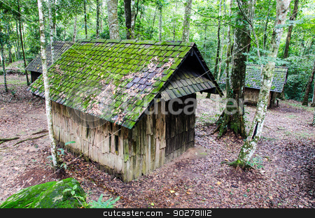 To use this stock image in your creative project, please select the size you need over to the right and click the "Add to Cart" button.
Your downloaded image will come with the Cutcaster watermark removed so don’t worry about the watermark you see on this page. wooden house stock photo, Old wooden house in the rainforest. by chatchai