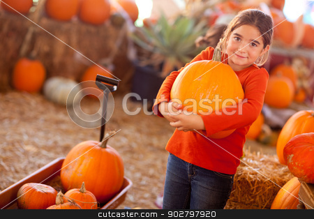 To use this stock image in your creative project, please select the size you need over to the right and click the "Add to Cart" button.
Your downloaded image will come with the Cutcaster watermark removed so don’t worry about the watermark you see on this page. Cute Girl Choosing A Pumpkin stock photo, Cute Girl Choosing A Pumpkin at A Pumpkin Patch One Fall Day. by Andy Dean