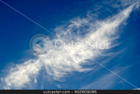 To use this stock image in your creative project, please select the size you need over to the right and click the "Add to Cart" button.
Your downloaded image will come with the Cutcaster watermark removed so don’t worry about the watermark you see on this page. Wispy cirrus on azure blue sky stock photo, Large wispy cirrus cloud in diagonal feather shape on azure blue sky background. by ArchonCodex