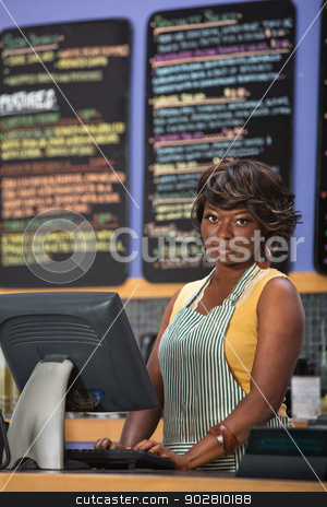 To use this stock image in your creative project, please select the size you need over to the right and click the "Add to Cart" button.
Your downloaded image will come with the Cutcaster watermark removed so don’t worry about the watermark you see on this page. Woman at Cash Register stock photo, Beautiful cafe worker at cash register indoors by Scott Griessel