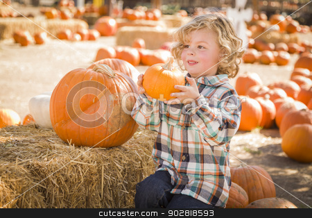 To use this stock image in your creative project, please select the size you need over to the right and click the "Add to Cart" button.
Your downloaded image will come with the Cutcaster watermark removed so don’t worry about the watermark you see on this page. Little Boy Sitting and Holding His Pumpkin at Pumpkin Patch stock photo, Adorable Little Boy Sitting and Holding His Pumpkin in a Rustic Ranch Setting at the Pumpkin Patch.
by Andy Dean
