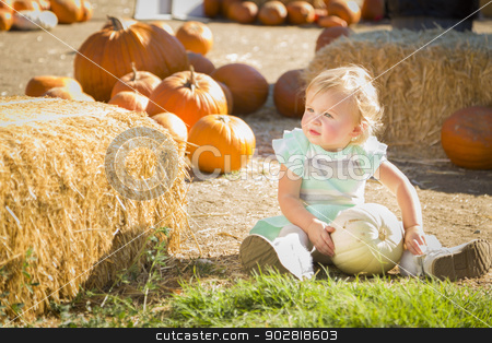 To use this stock image in your creative project, please select the size you need over to the right and click the "Add to Cart" button.
Your downloaded image will come with the Cutcaster watermark removed so don’t worry about the watermark you see on this page. Adorable Baby Girl Holding a Pumpkin at the Pumpkin Patch stock photo, Adorable Baby Girl Holding a Pumpkin in a Rustic Ranch Setting at the Pumpkin Patch.
by Andy Dean