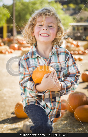 To use this stock image in your creative project, please select the size you need over to the right and click the "Add to Cart" button.
Your downloaded image will come with the Cutcaster watermark removed so don’t worry about the watermark you see on this page. Little Boy Holding His Pumpkin at a Pumpkin Patch stock photo, Adorable Little Boy Sitting and Holding His Pumpkin in a Rustic Ranch Setting at the Pumpkin Patch.
by Andy Dean