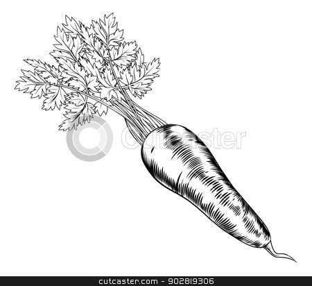 To use this stock image in your creative project, please select the size you need over to the right and click the "Add to Cart" button.
Your downloaded image will come with the Cutcaster watermark removed so don’t worry about the watermark you see on this page. Vintage retro woodcut carrot stock vector clipart, A vintage retro woodcut print or etching style carrot illustration by Christos Georghiou
